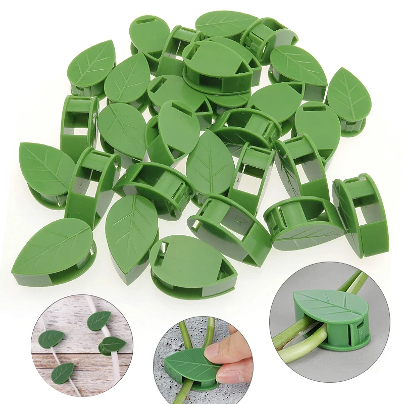 1-50Pcs invisible plant wall c - Vine Climbing Plastic reseña y precio