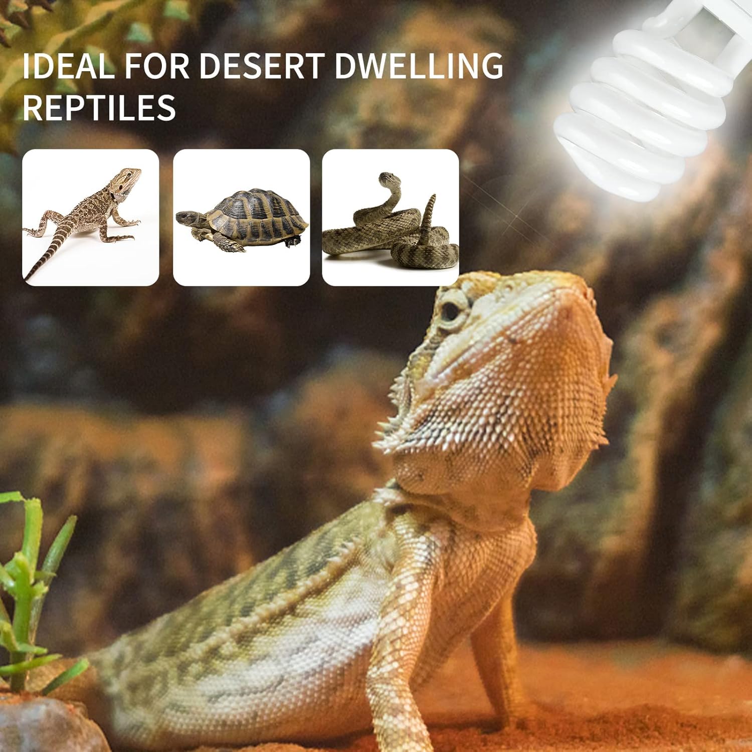 UVB 5.0 10.0 Reptile Heating L - Calcium Powder Reptile reseña y precio
