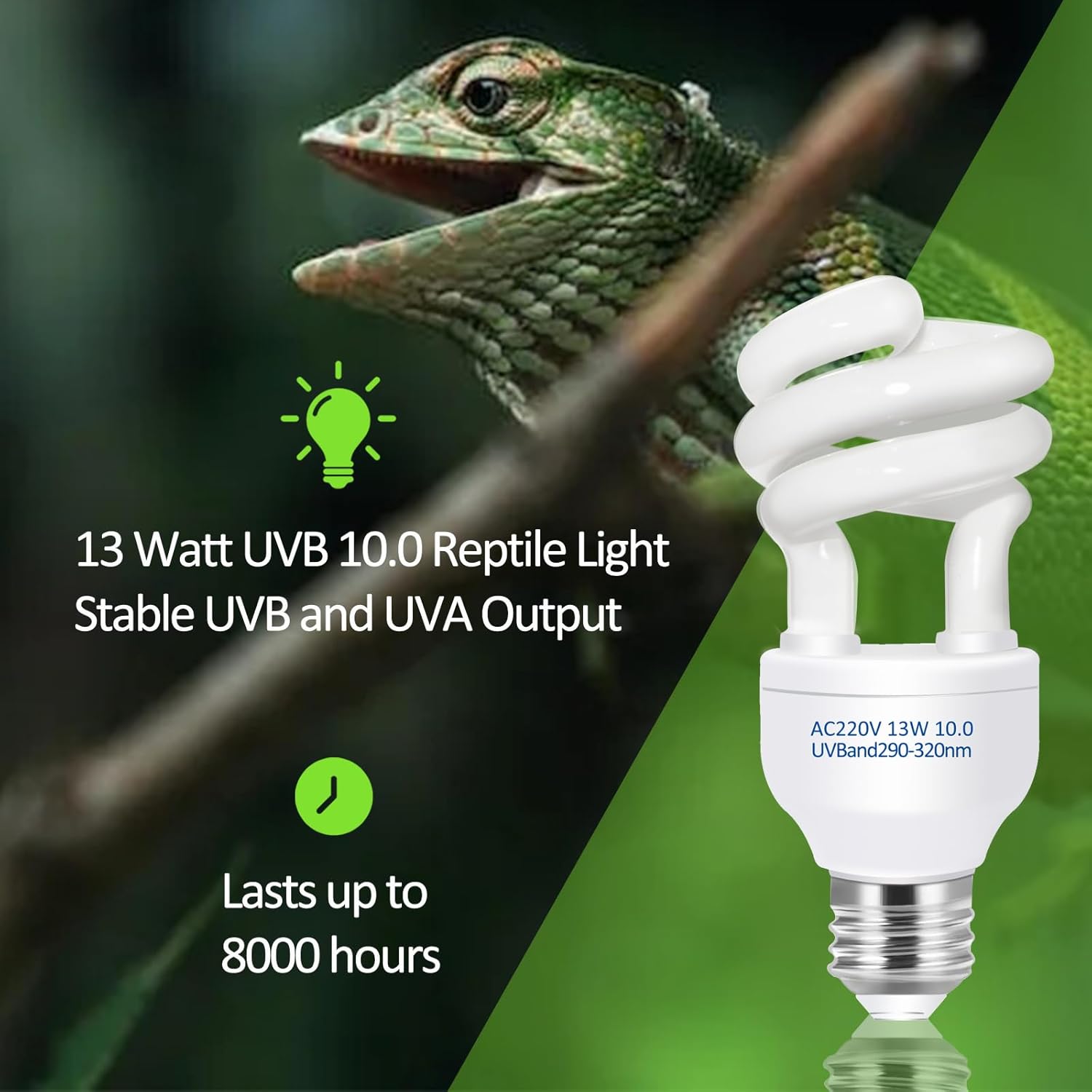 UVB 5.0 10.0 Reptile Heating L - Calcium Powder Reptile reseña y precio