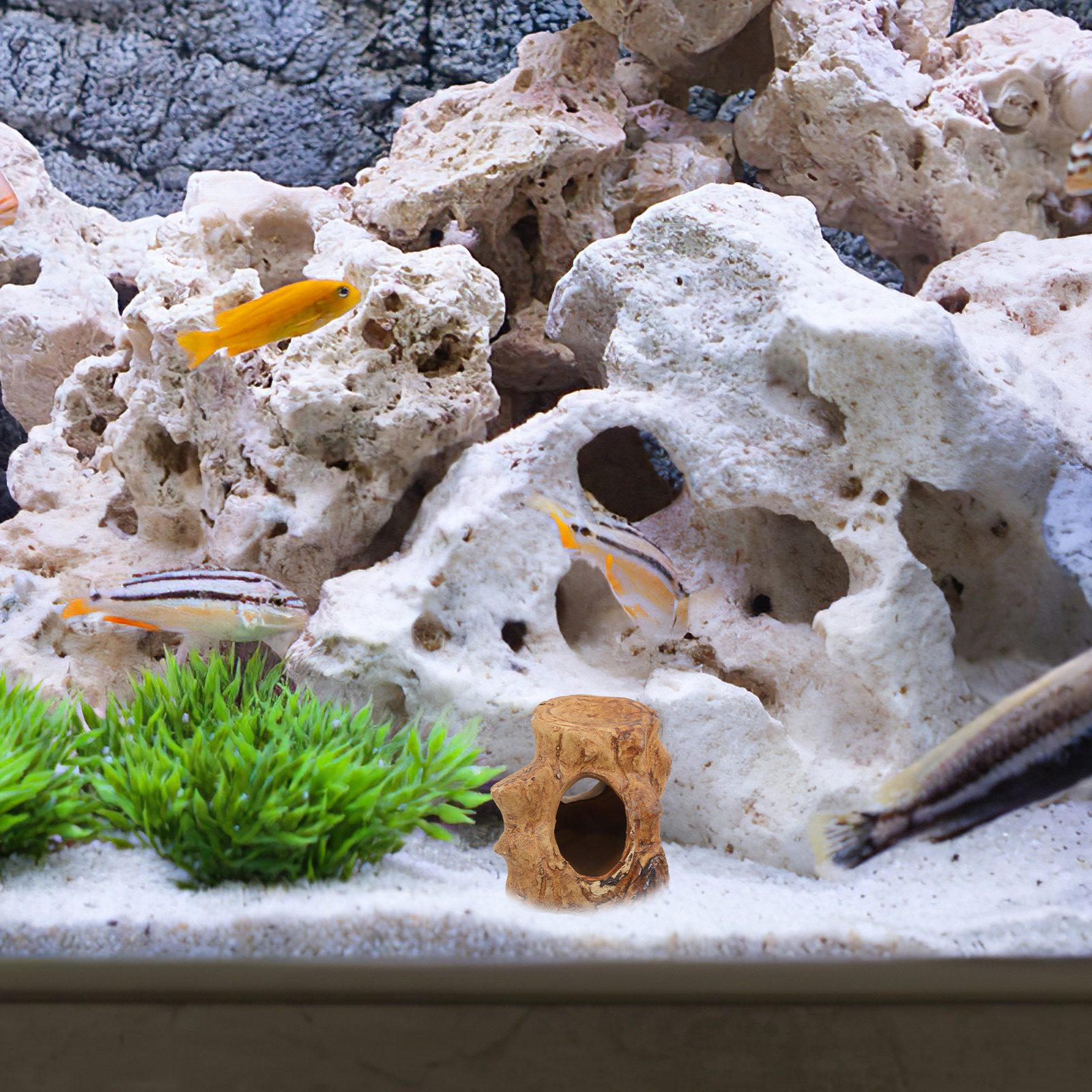 Aquarium Fish House Ceramic Ca - Hide Cave Ceramic reseña y precio