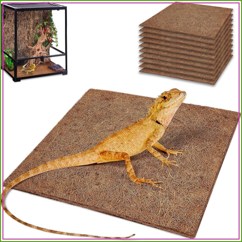 10 Pcs Natural Coconut Fiber R - Substrate Coconut Fiber reseña y precio