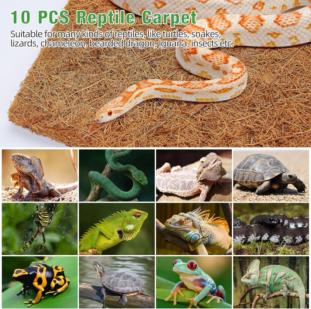 10 Pcs Natural Coconut Fiber R - Substrate Coconut Fiber reseña y precio