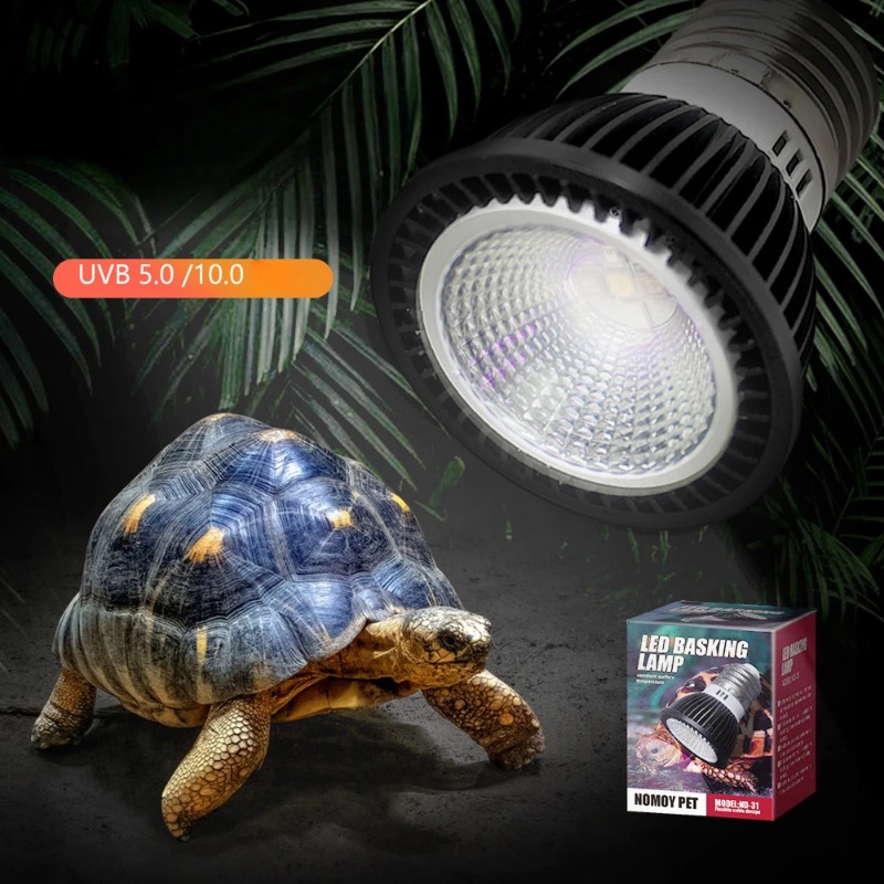 NOMOY Reptile 110/220V UVB+UVA - Calcium Powder Reptile reseña y precio