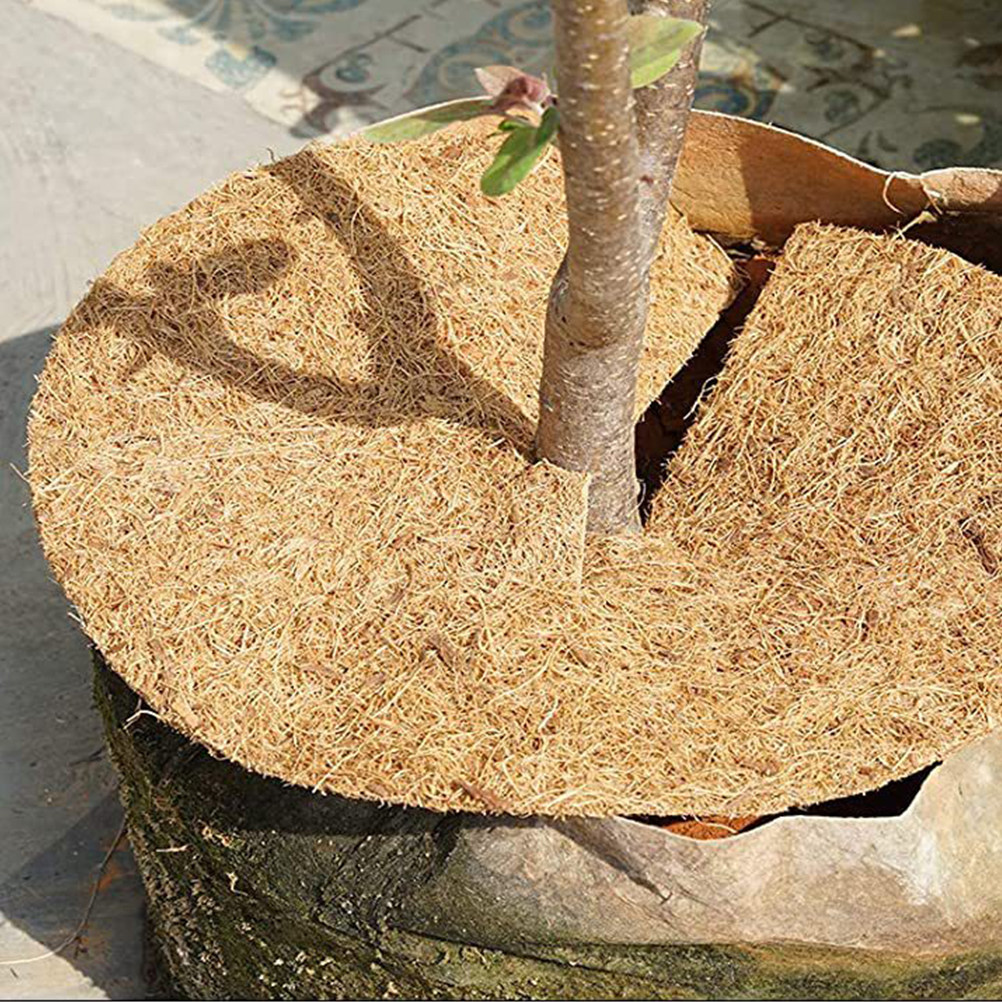 1 Roll Thick Coconut Fiber Lin - Substrate Coconut Fiber reseña y precio