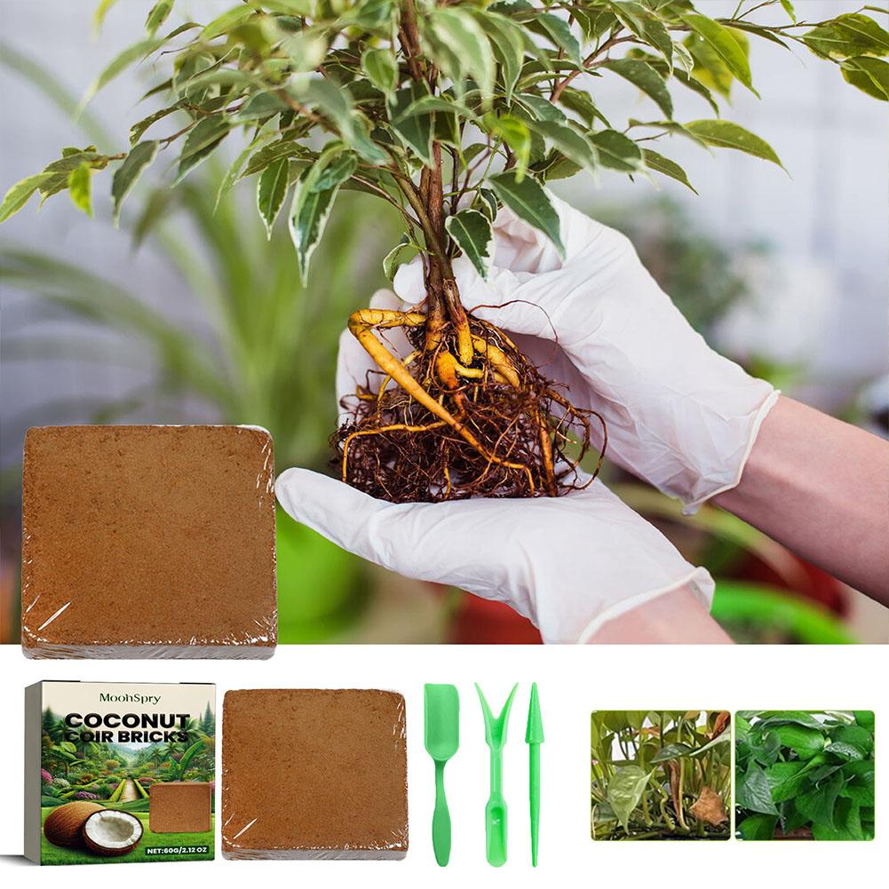 Coconut Coir Fiber Brick - Org - Substrate Coconut Fiber reseña y precio