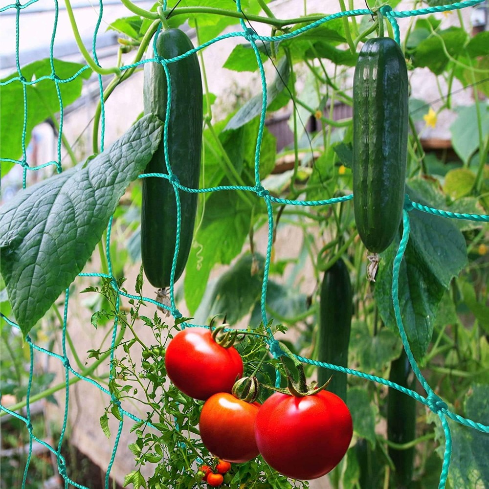 1pc Trellis Netting, Portable  - Vine Climbing Plastic reseña y precio