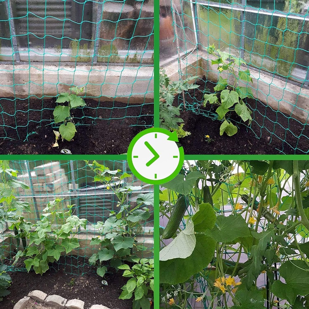 1pc Trellis Netting, Portable  - Vine Climbing Plastic reseña y precio