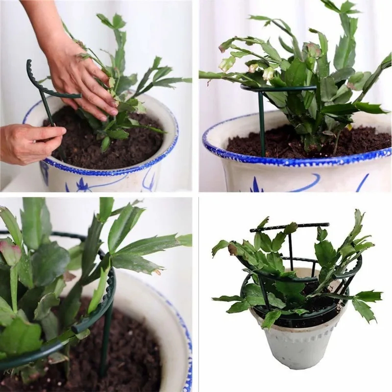1-9set Plastic Plant Support P - Vine Climbing Plastic reseña y precio