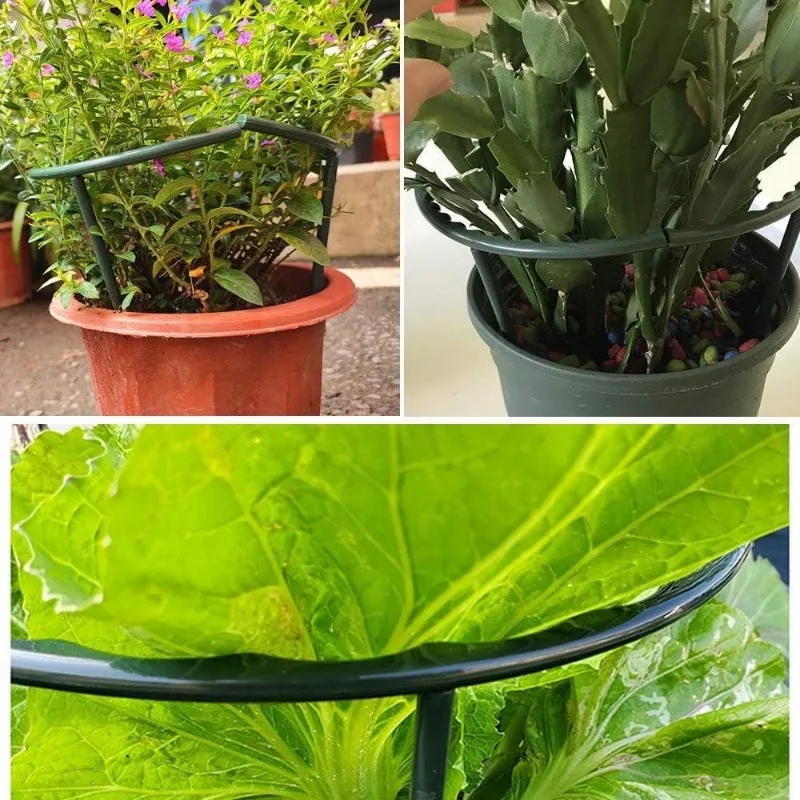 1-9set Plastic Plant Support P - Vine Climbing Plastic reseña y precio