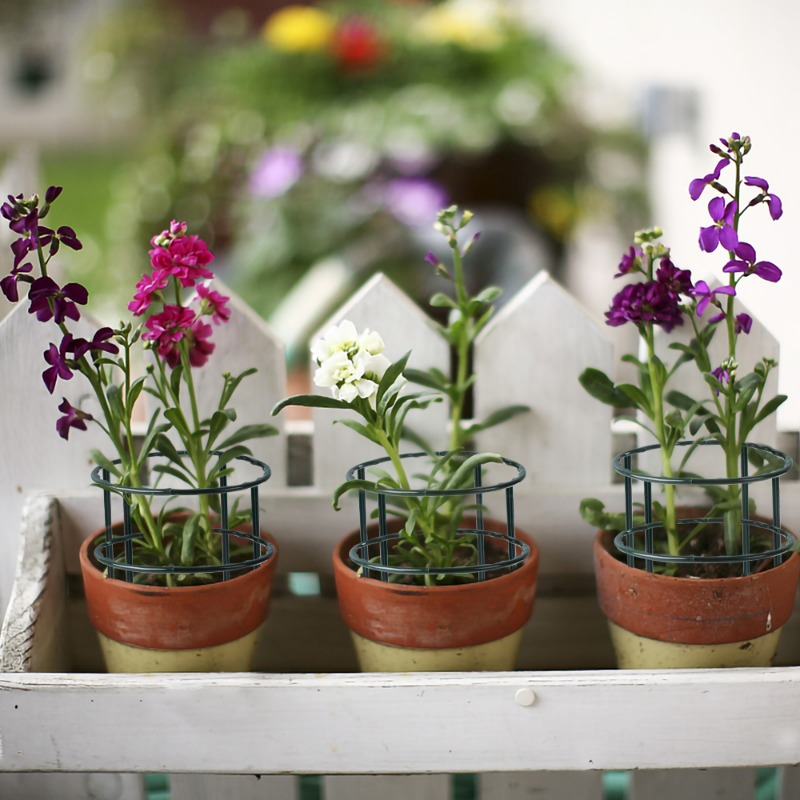 Plastic Plant Support Pile Fra - Vine Climbing Plastic reseña y precio