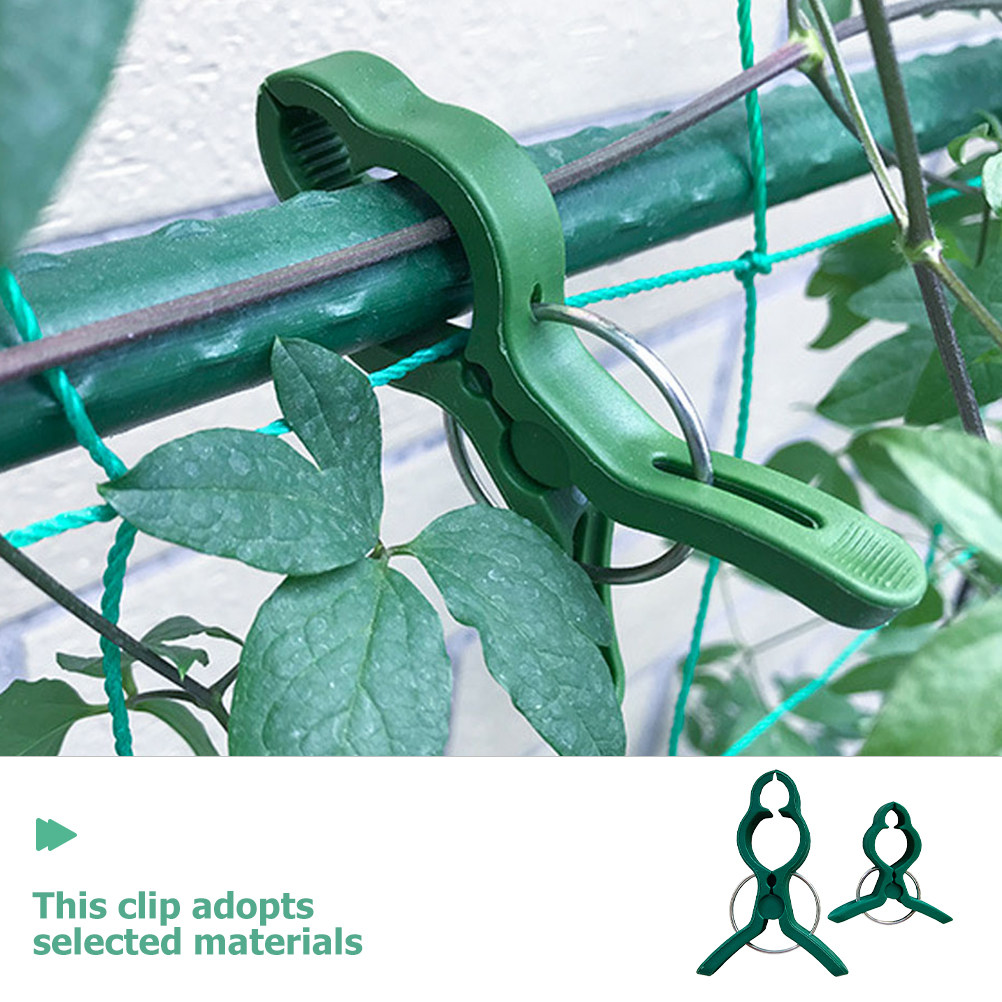 50Pcs Plant Support Clips Plas - Vine Climbing Plastic reseña y precio
