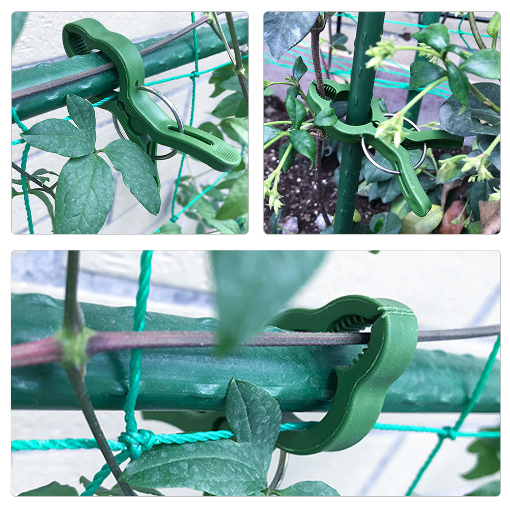 50Pcs Plant Support Clips Plas - Vine Climbing Plastic reseña y precio