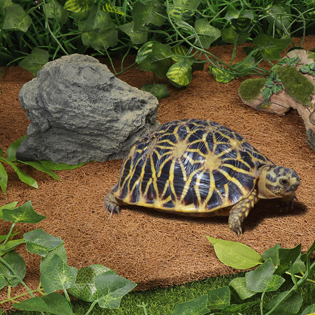 Terrarium Bedding for Reptiles - Substrate Coconut Fiber reseña y precio