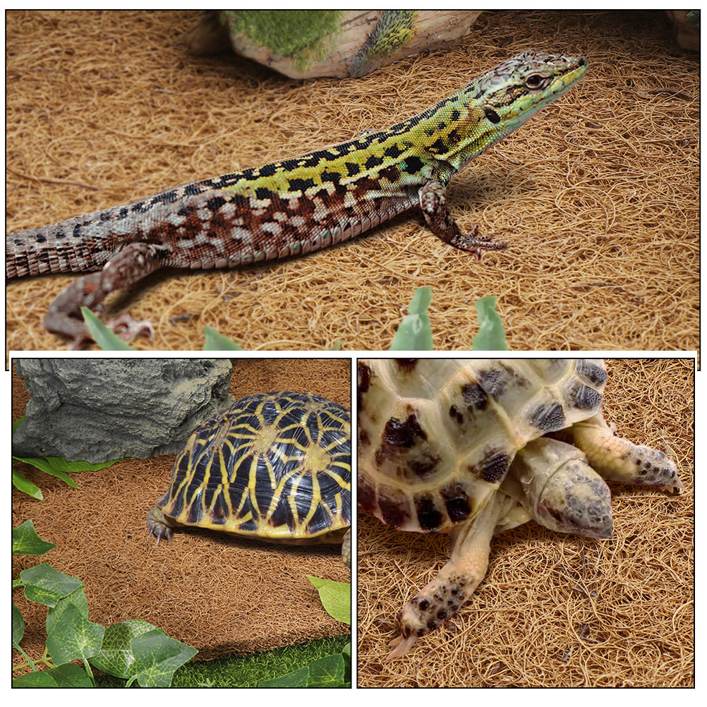 Terrarium Bedding for Reptiles - Substrate Coconut Fiber reseña y precio