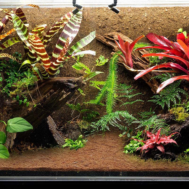 HITL Natural Coconut Fiber Mat - Substrate Coconut Fiber reseña y precio