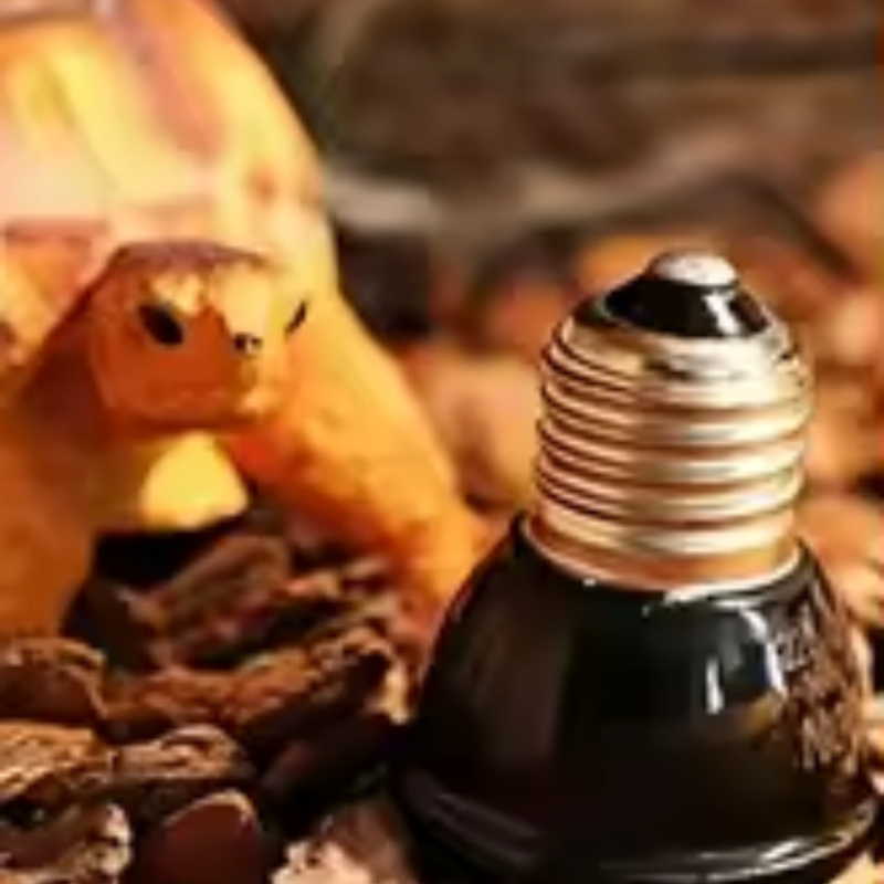 Reptile Ceramic Heat Emitter M - Ceramic Heat Emitter reseña y precio