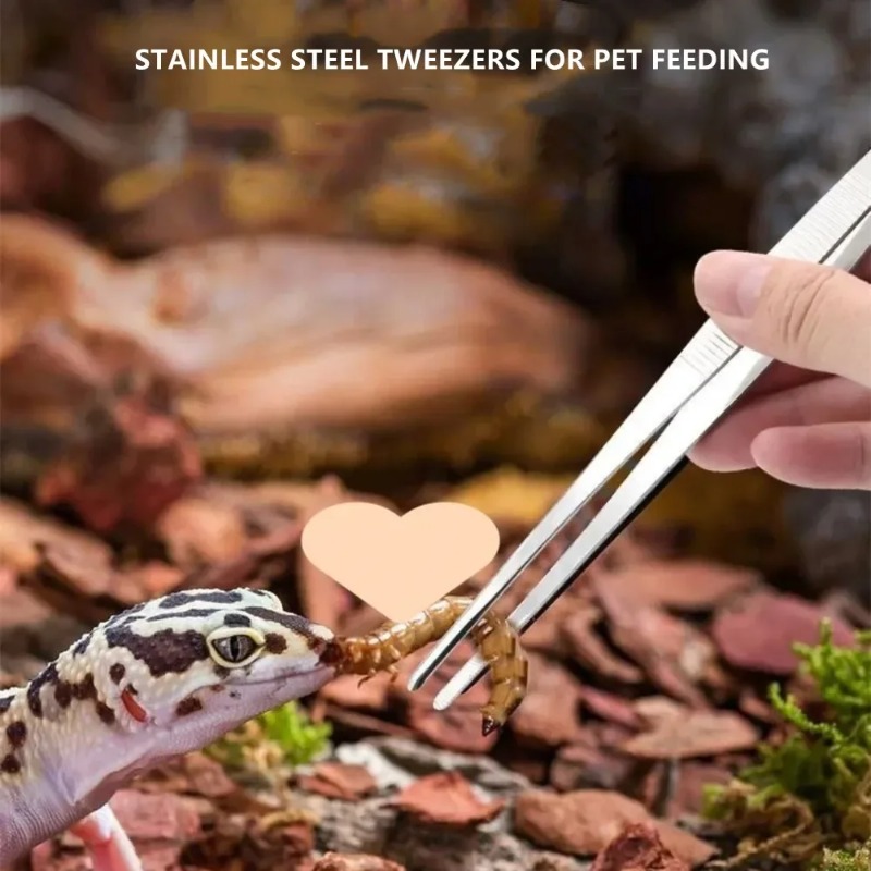 Stainless Multifuctional Steel - Feeding Tong Stainless reseña y precio