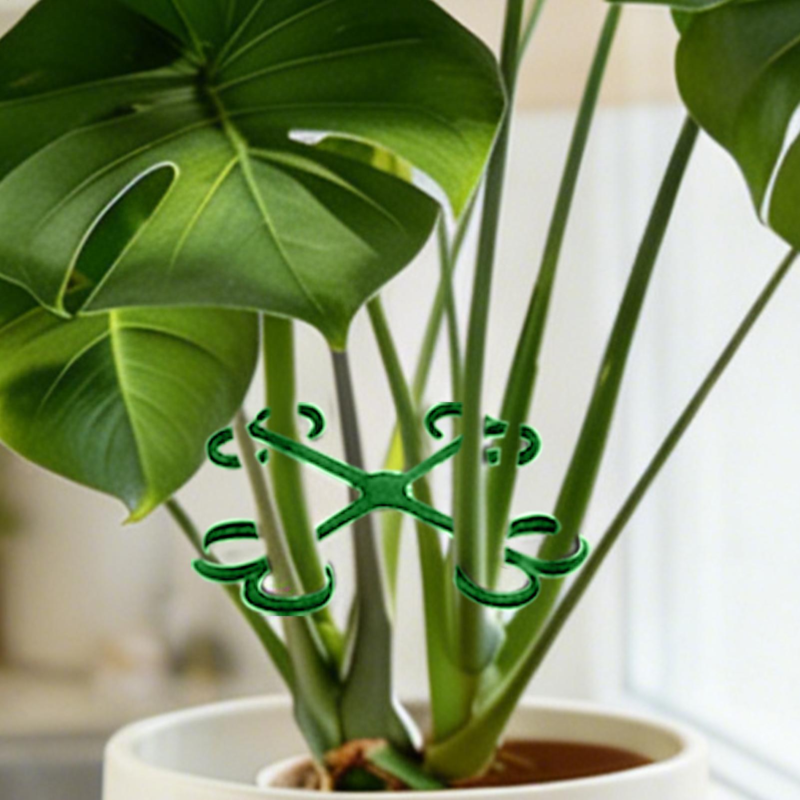 4Pcs Plant Stem Support Clips  - Vine Climbing Plastic reseña y precio