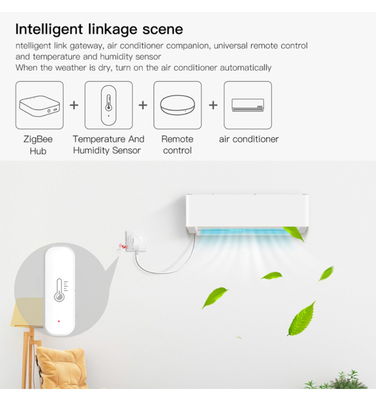 eWeLink Smart ZigBee Temperatu - Digital Hygrometer Probe reseña y precio