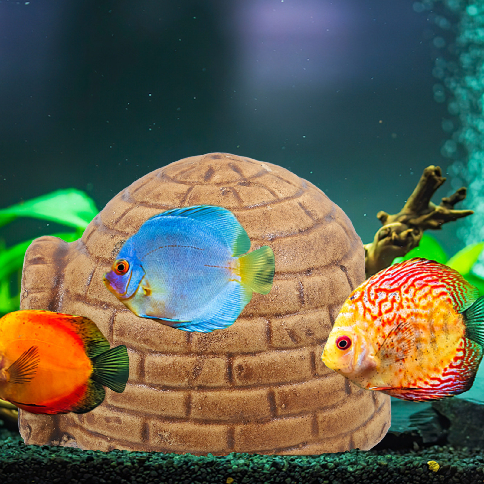 Pleco Caves for Aquarium Durab - Hide Cave Ceramic reseña y precio
