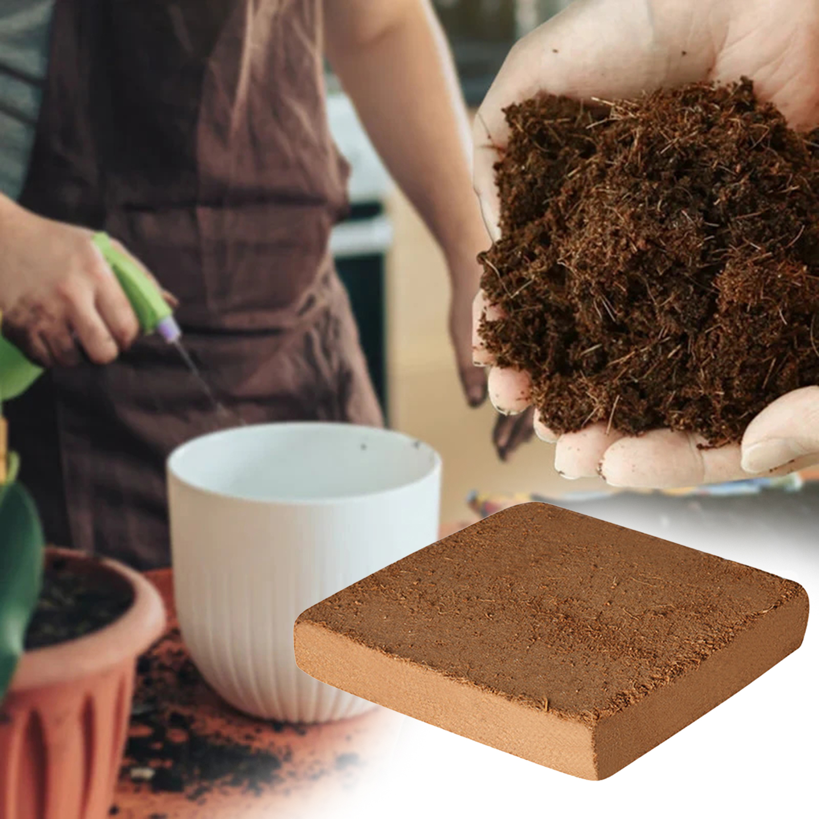 Soil Coconut Fibre Terrarium S - Substrate Coconut Fiber reseña y precio