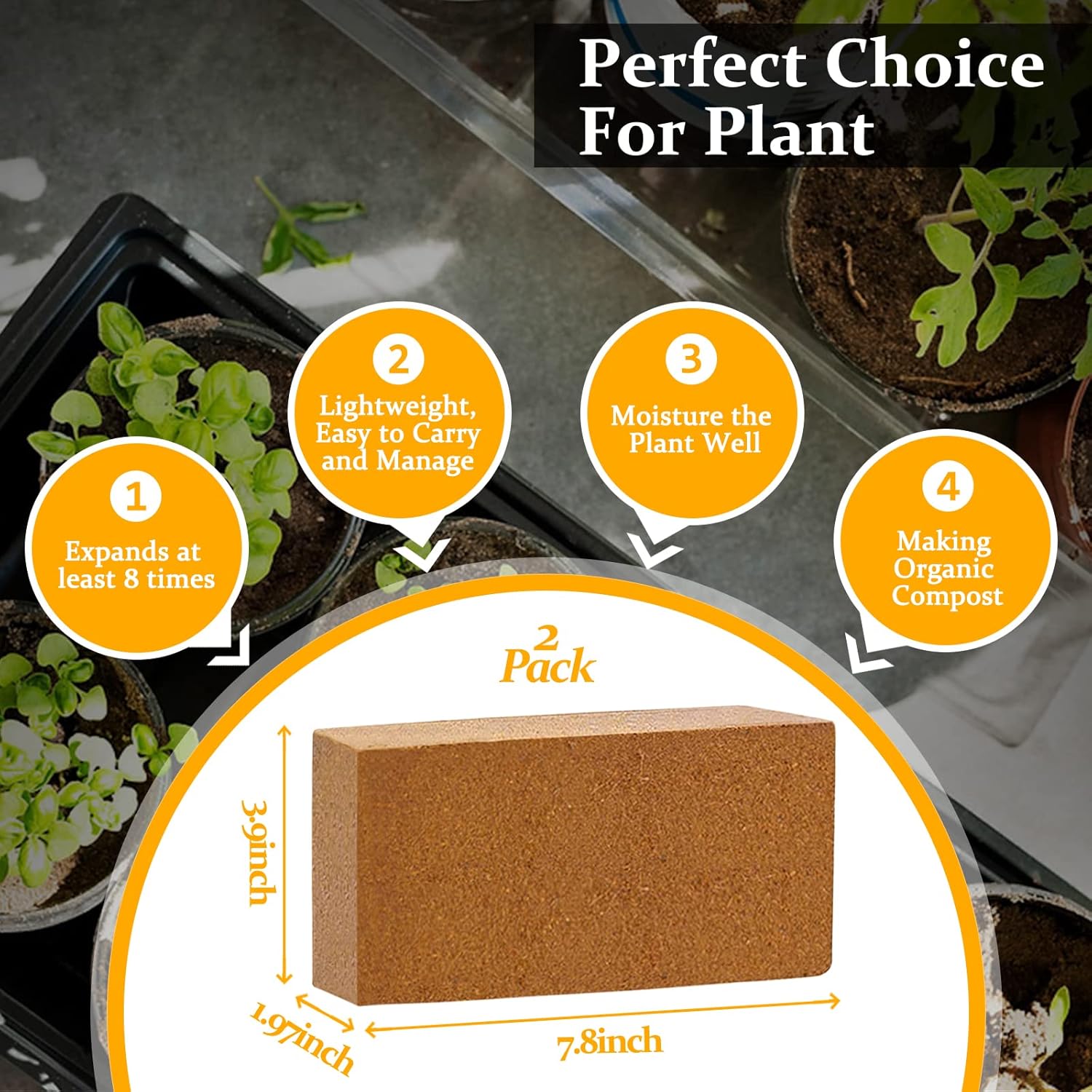 2pcs Organic Coco Coir Bricks  - Substrate Coconut Fiber reseña y precio