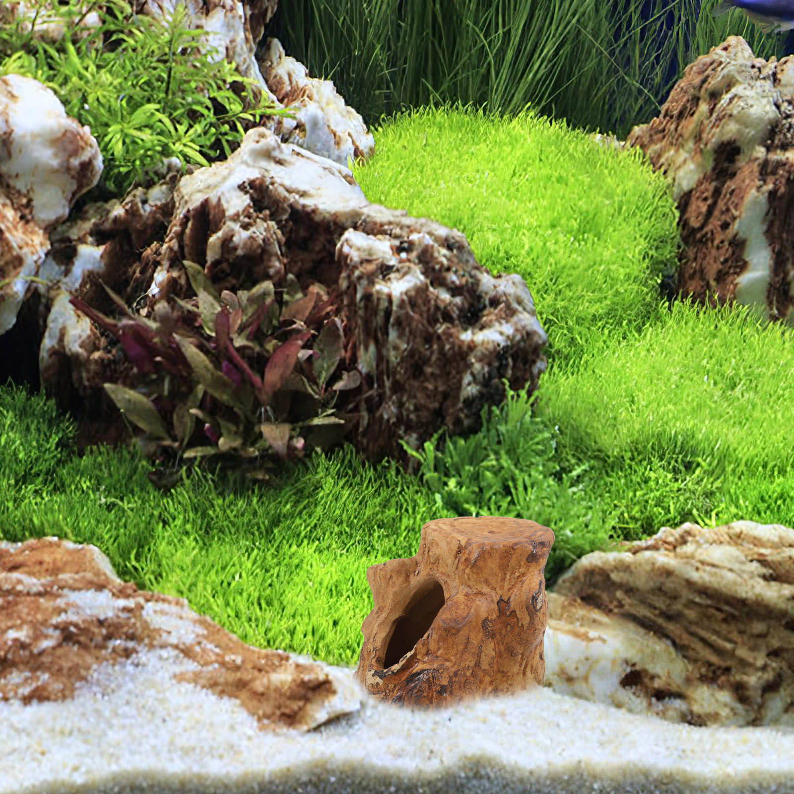 Natural-Looking Ceramic Fish T - Hide Cave Ceramic reseña y precio