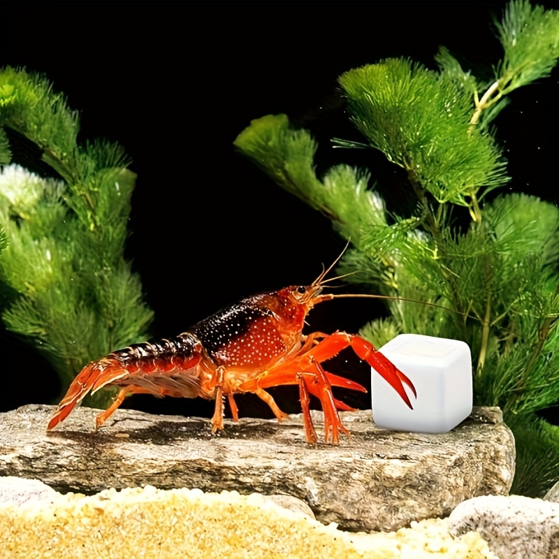 6 Pcs Fish Tank Calcium Block  - Calcium Powder Reptile reseña y precio