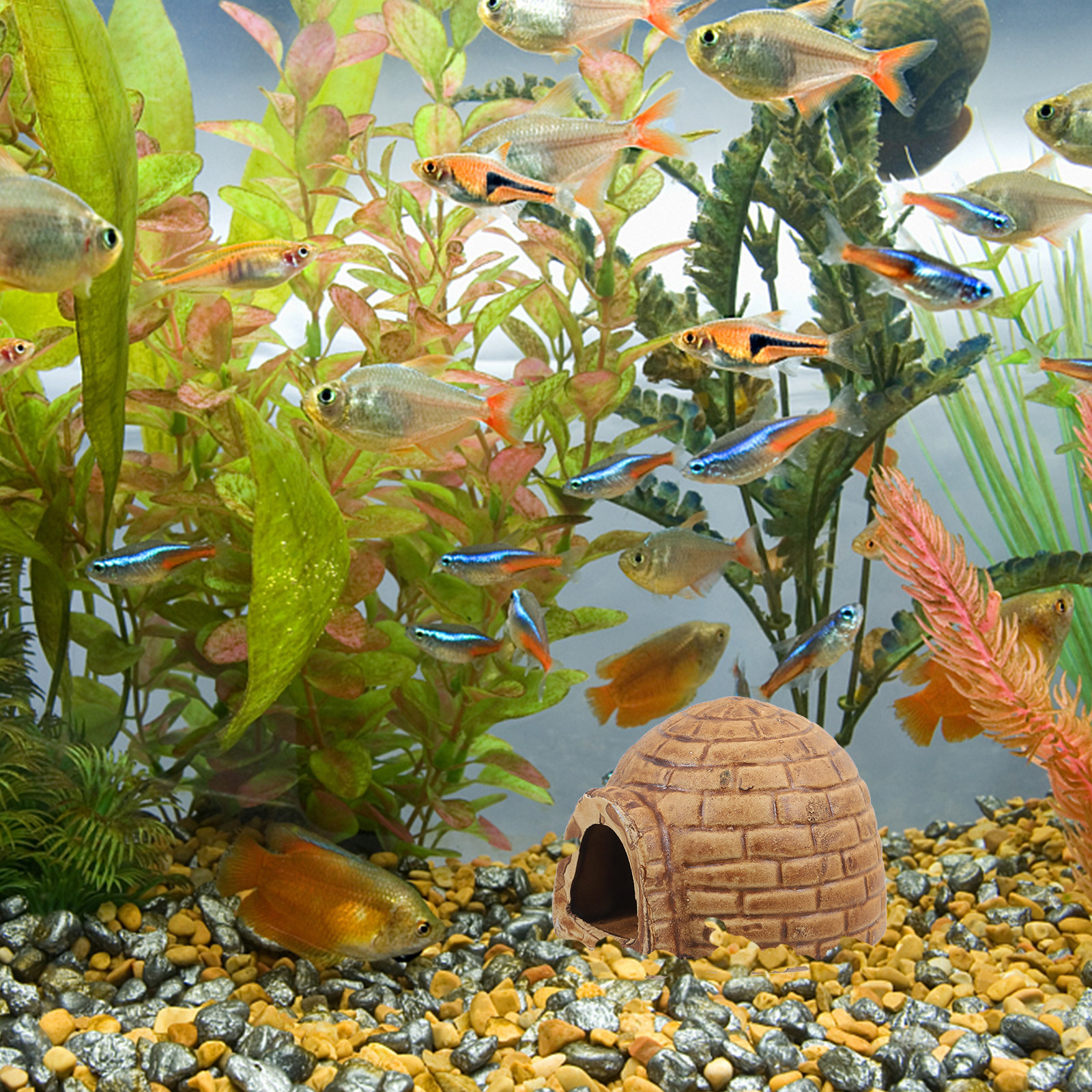 Ceramic Pleco Caves Aquarium F - Hide Cave Ceramic reseña y precio